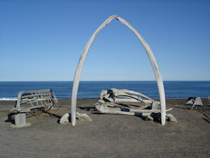 Roadside Image